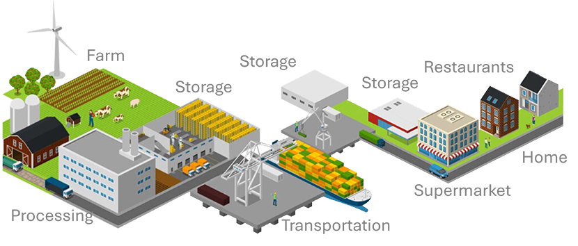 Supply Chain