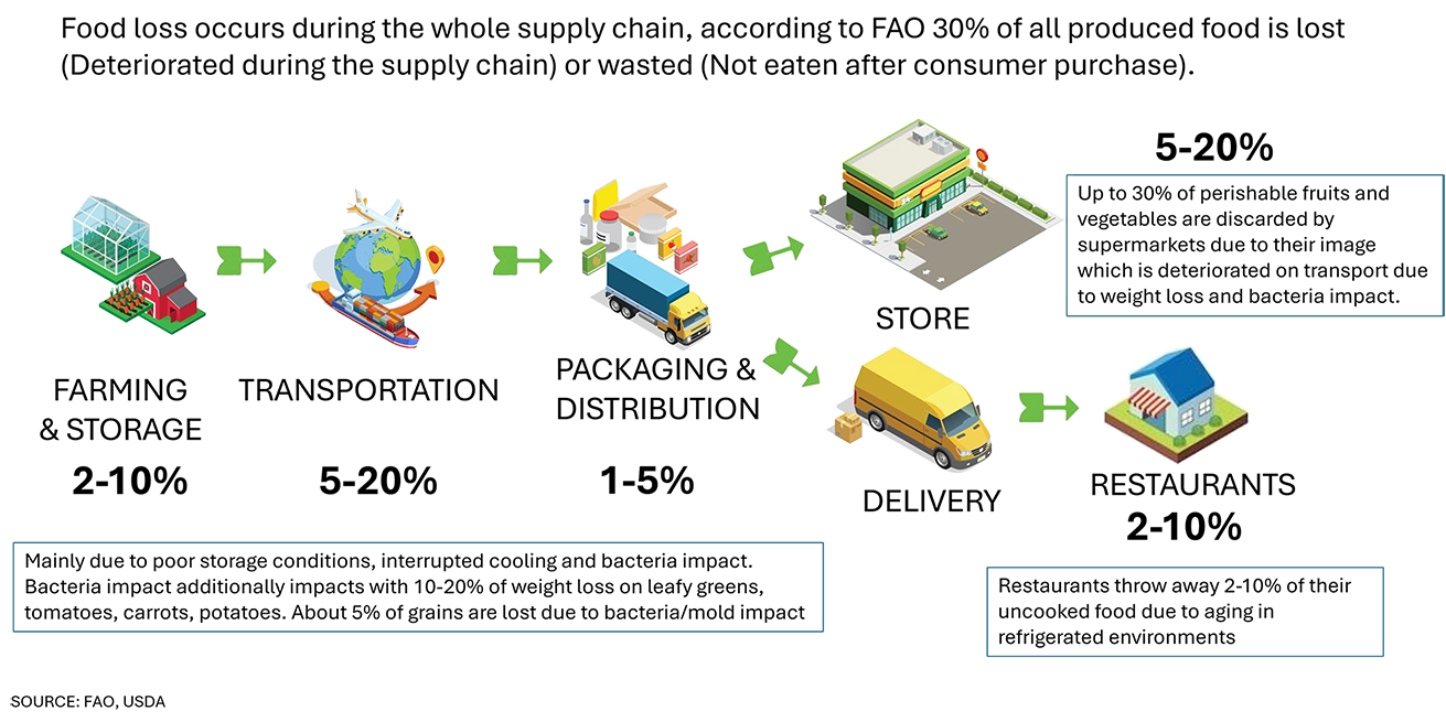 Food Loss Stages